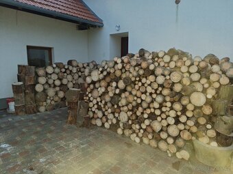 prodej palivového dřívi - 2
