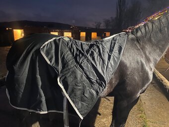 Bucas deka stájová freedom 150g černá 155 cm - 2