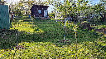 Prodej zahrada OV 391m2 Olomouc Slavonín - 2