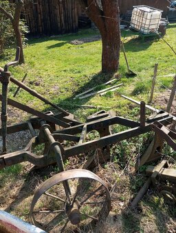 Pluh triradlicny - 2