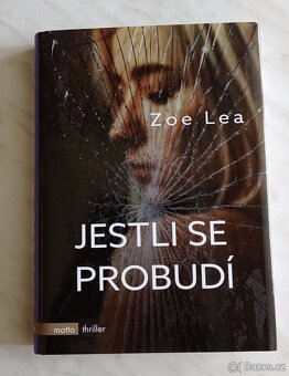 Jestli se probudí - 2