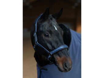 Ohlávka Glimmer Equestrian Stockholm Dark Venice - 2