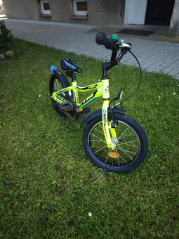 Ctm Foxy 16" - 2