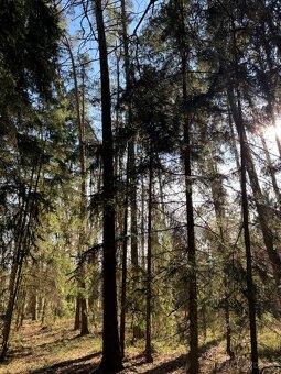 Prodám pozemky v katastrálním území Nemějice - 2