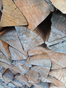 Palivové smrkové dřevo - 2