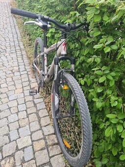 Specialized - juniorské/dámské kolo - 2