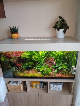 Akvárium včetně skříňky - 2