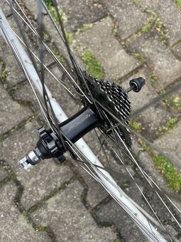 Zadni kolo specialized 26 - 2