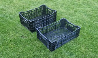 PE přepravka bedýnka na ovoce a zeleninu 60x40 - 2