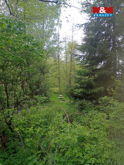 Prodej lesa, 4526 m², Dlouhý Most - 2