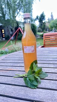 Meduňkový sirup domácí - 2