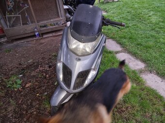 Kymco dink Yager 125 - 2