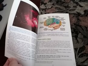 Stručný průvodce k porozumění Islámu - 2