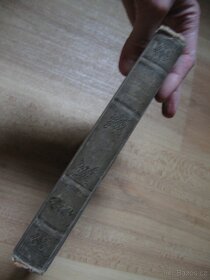 Domácí lékař - Dr. Křížek - rok 1890 - 2