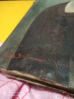 Obraz Portrét Ženy - 2