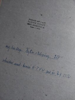 Ludvík Voneš - Tulipány (litografie) - 2