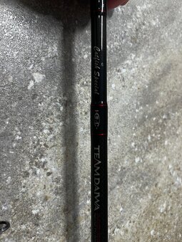 Catfish Daiwa 2,4m 80-250g - 2