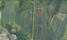 Pozemky p.č. 183/5 a p.č. 555/1 v k.ú. Hamr na Jezeře - 2