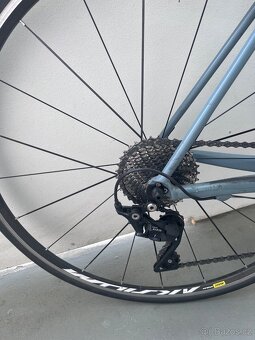 Radon R1 Race Al Shimano 105 vel. 53 - 2