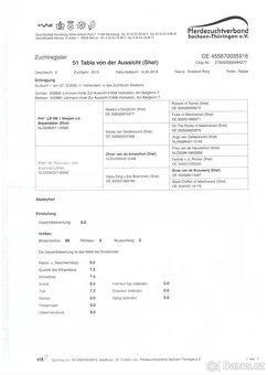 Ponik Klisna - 2