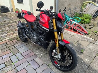 DUcati Monster SP Y2024 - 2