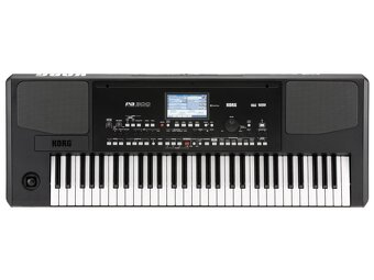 Korg pa 300 - 2