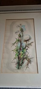 Originál obraz malířky Věra Vovsová Bodláky - 2