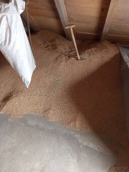 Obilí ječmen a pšenice - 2