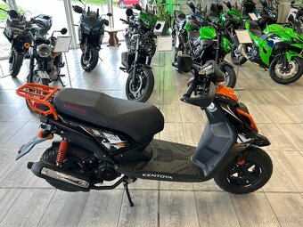 Kentoya Hamster 1254T 2026 - 2