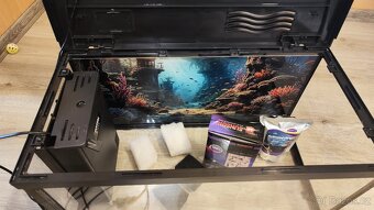 50l aqarium - 2