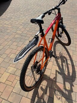 Kolo Bulls XC 29” - 2