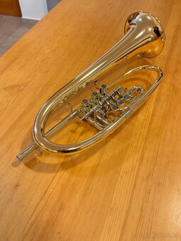 Křídlovka Hans Krinner model VK - 2