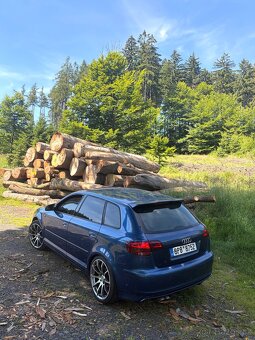 Audi a3 8p 2.0 Tdi BKD - 2