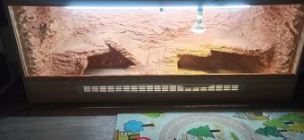 Terarium pro agamy 160x60x60 - 2