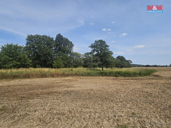 Prodej louky, 2362 m², Krnov - 2