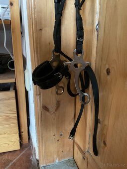 Hakamore Sprenger plus uzdečka - 2