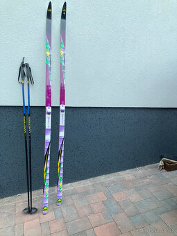 Klasické běžky Sporten Polar - 2