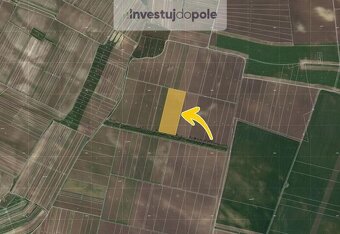 Prodej pole v k.ú. Novosedly na Moravě - 2