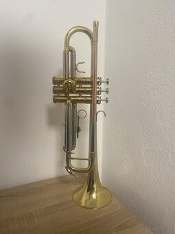 Trumpeta - 2