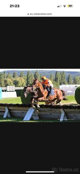 Valach A1/1 5let - 2