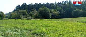 Prodej louky, 11196 m², Chyňava - 2