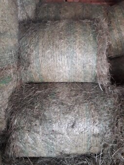 Seno velké kulaté balíky - 2