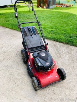 Hecht briggs stratton 675ex series 190cc - 2