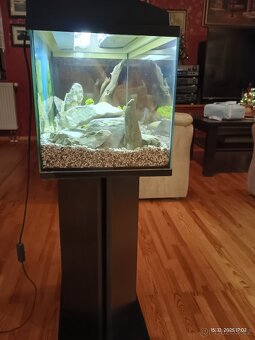 Akvárium/ terárium - 2