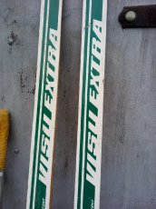 Lyže běžky - 2