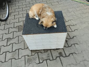 Bouda pro čivavu - 2