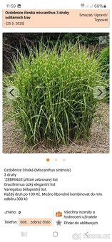 Miscantus  3 druhy - 2