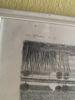 Novak - grafika - 2