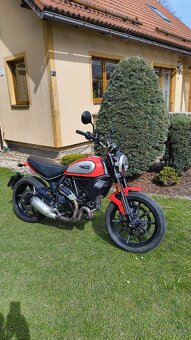 Ducati Scrambler Icon 800 - 2