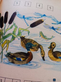 Kniha POČETNICE rok vyd 1969, cena 399 Kč (17 €), i na Slove - 2